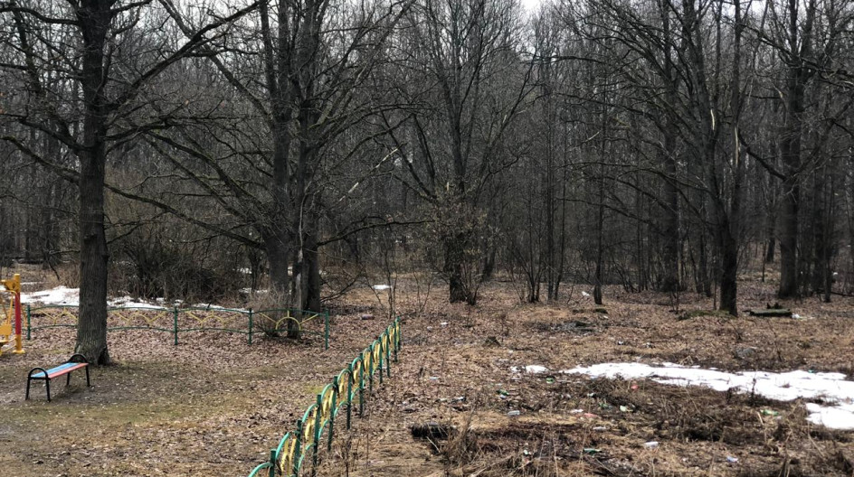 Фото Парка Дубки