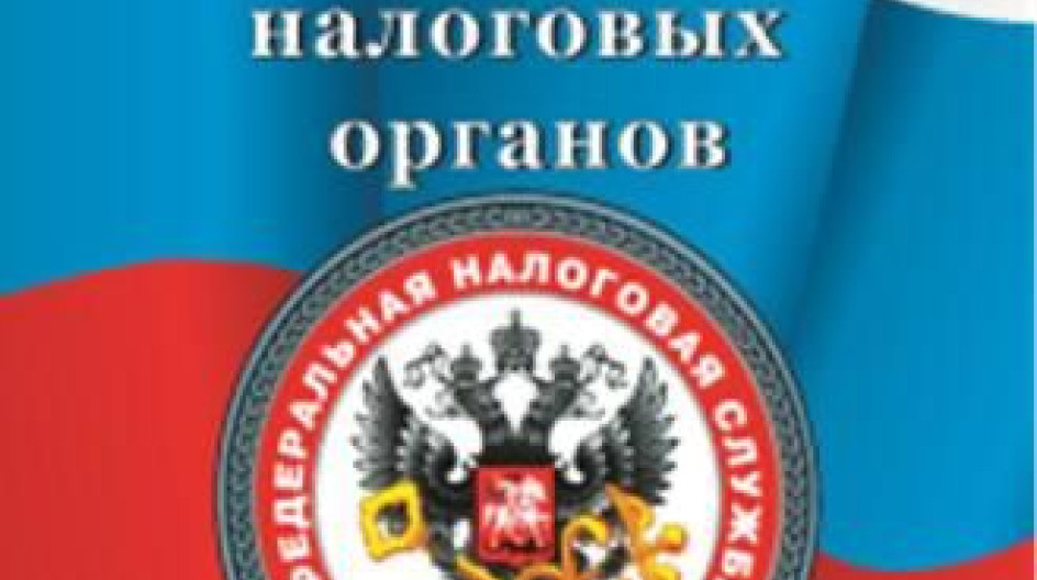 Безопасность налоговых органов