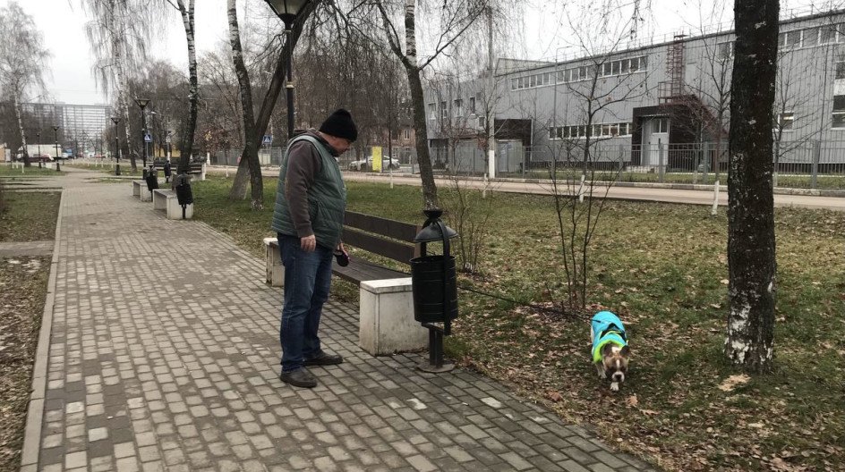 обследование прилегающей территории