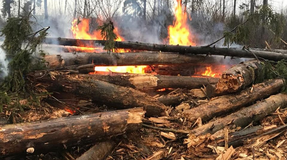 Охрана леса от вырубки. Вырубка лесов и пожары. Лесные пожары вырубка. Пожар в лесу и вырубка деревьев. Леса пожары рубка деревьев.